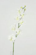 vit konstblomma phalaenopsis, orkide - 85cm