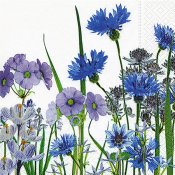 Servett med blå blommor och blåklint