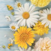 Servetter med gula och vita blommor - 33x33 cm