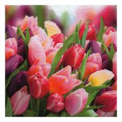servetter med tulpaner i rosa, lila, rött och gult - 33x33 cm