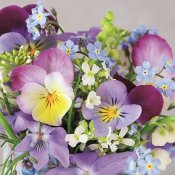 Servetter med violer, förgätmigej och penseer - vårblommor 33x33 cm