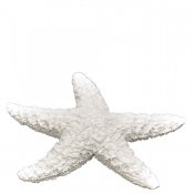 Vit sjöstjärna dekoration tillverkad i polyresin - 12x13 cm
