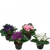 St Paula Blå - 15 cm