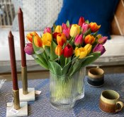 Tulpan Mix 3st Orange - 36 cm