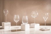 Champagneglas 2-Pack Elegance 29cl - Kristall - Stiernholm