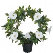 Vit konstgjord Blomma för dagen från Mr Plant - 35 cm hög upphängd på metallbåge