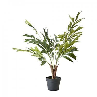 Palm Fishtail Konstträd Botanica i grönt - 90 cm hög