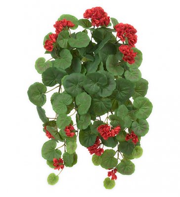 Röd hängpelargon i kruka - 50 cm