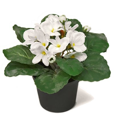 St Paula konstblomma med vita blommor - 15 cm hög