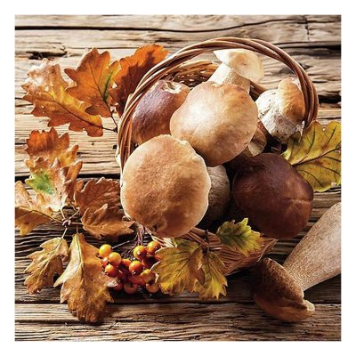 Servetter med svampar - 33x33 cm