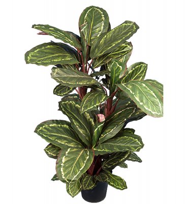 Konstträd Maranta träd i kruka - 104 cm hög