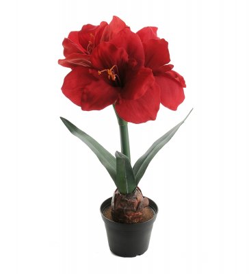 Röd amaryllis i kruka - Konstblomma 45 cm