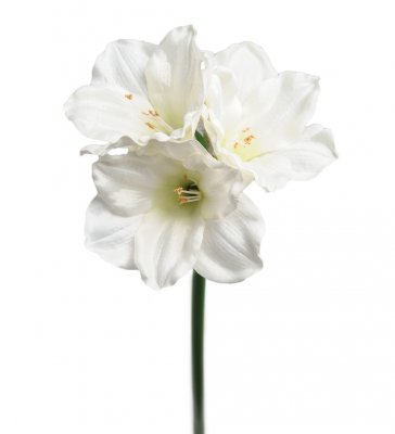 Vit amaryllis kvist konstblomma - 65 cm
