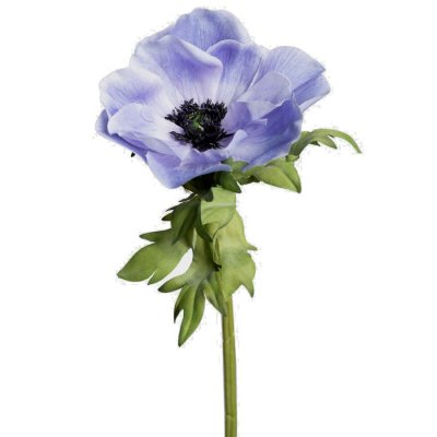 Ljusblå anemon konstblomma - 43 cm hög