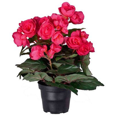 Fushsia Begonia konstgjord från Mr Plant - 28 cm hög