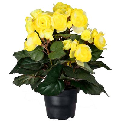 Gul Begonia konstgjord från Mr Plant - 28 cm hög