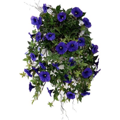 Blå, mörklila konstgjord Blomma för dagen från Mr Plant - 60 cm längd på hängande växt