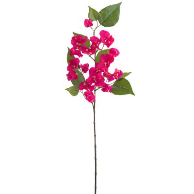 Bougainville kvist med blommor i cerise - 60 cm