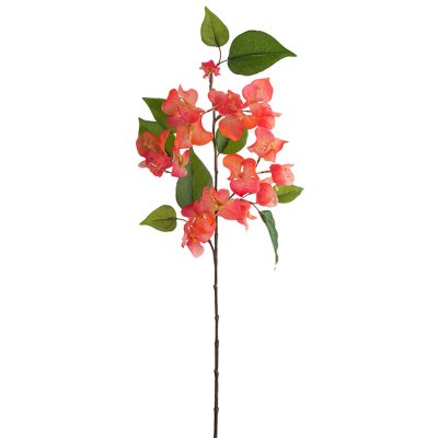 Bougainville kvist med blommor i orange, aprikos - 60 cm