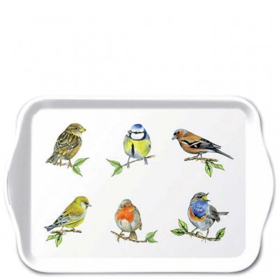 Vit Bricka med olika fåglar och fågelarter  - Ambiente 13x21 cm