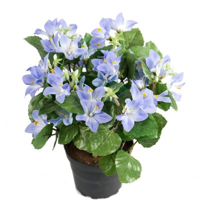 Blå campanula i plastkruka - konstväxt 25 cm hög