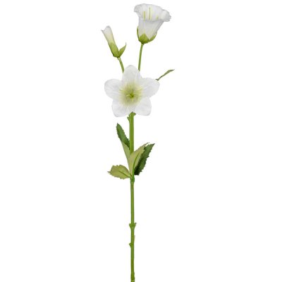 Vit campanula konstblomma - 50 cm hög