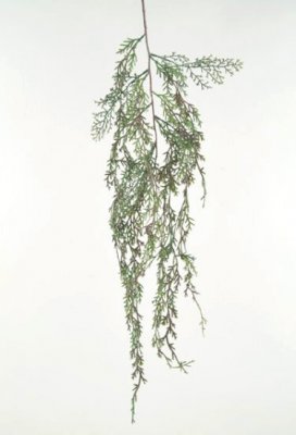 Cedar kvist grön, konstväxt - 100 cm