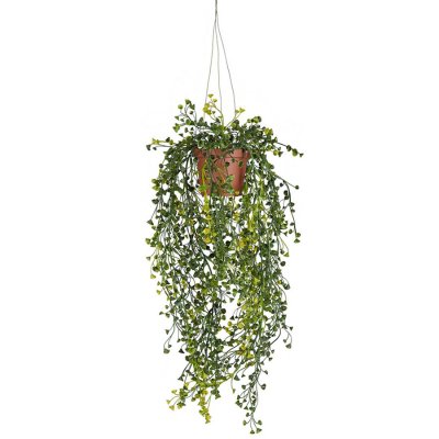 Konstväxt cucullata grön hängande i plastkruka - 60 cm hög