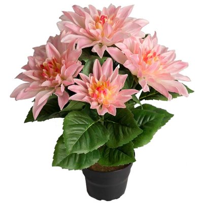 Rosa dahlia i plastkruka - Konstväxt 30 cm hög