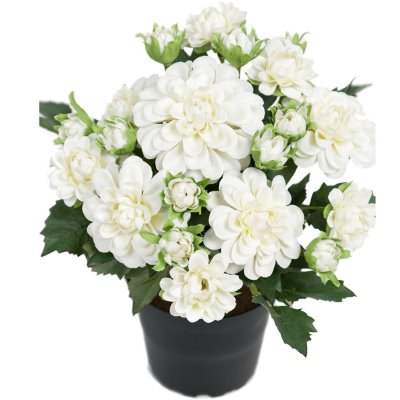 Vit dahlia i plastkruka - Konstväxt 25 cm hög