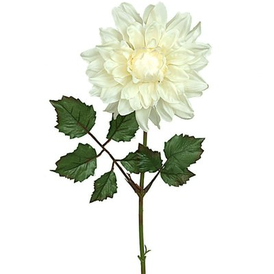 Vit dahlia på kvist med gröna blad - 45 cm