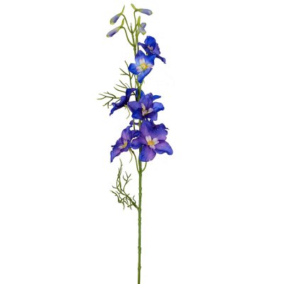 Blå, kornblå riddarsporre konstblomma - 65 cm hög