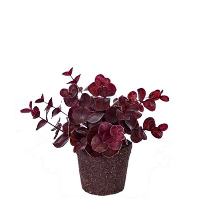 Liten konstgjord eukalyptus med mörkt lila, vinröda blad - Mr Plant 14 cm