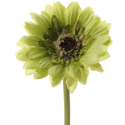Grön gerbera 25 cm hög - konstblomma, konstväxt