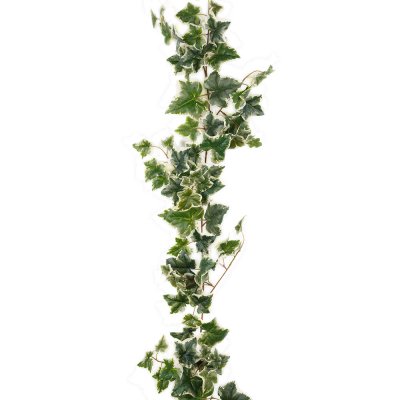 Murgröna girlang 180 cm - Gröna och vita blad