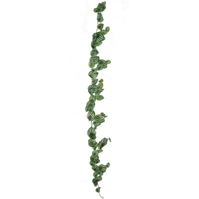 Girlang med gröna peperomia blad i ljusgrön, grön och vit - 180 cm lång