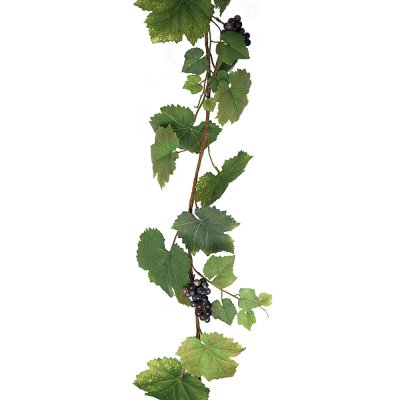 Girlang med vinranka och druvklasar med blå druvor mörkröda klasar - 190 cm lång