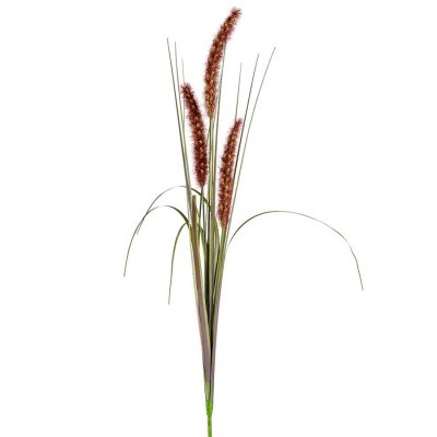 Gräs med röd, bruna strån och grön - 80 cm hög