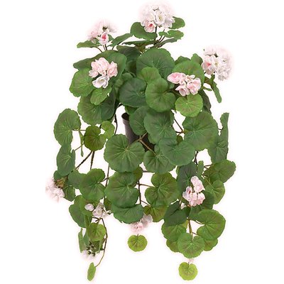 Ljusrosa hängpelargon i kruka - 50 cm hög