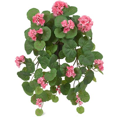 Rosa hängpelargon i kruka - 50 cm