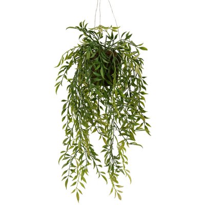 Konstväxt hoya grön hängande i plastkruka - 47 cm hög