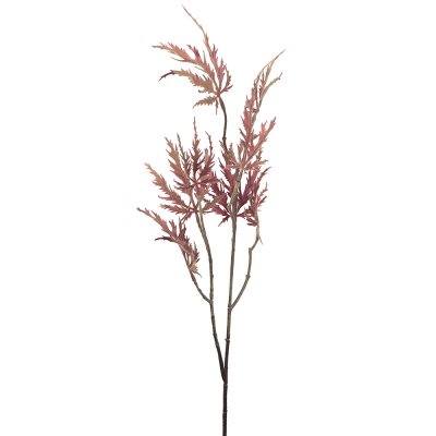 Japansk lönn i frostad röd, höstkvist ljusröd - 75 cm