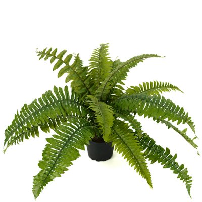 Konstväxt grön ormbunke - 30 cm hög