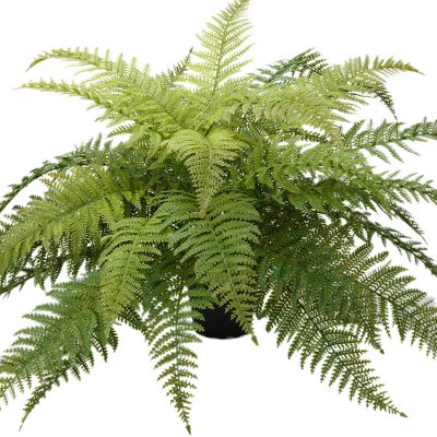 Konstväxt grön ormbunke i plastkruka - 45 cm hög