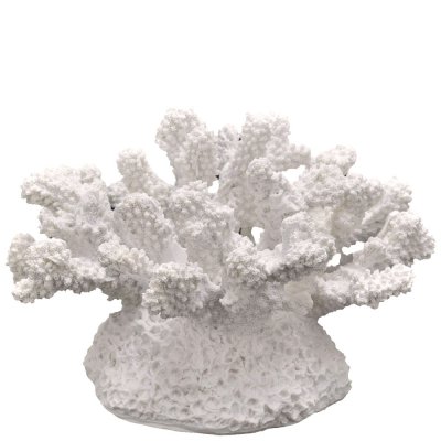 Vit korall dekoration - 19x15cm