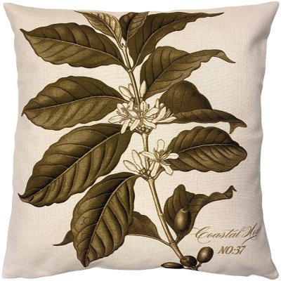 Naturfärgat kuddfodral med kaffepanta i olivgrönt - 50x50 cm