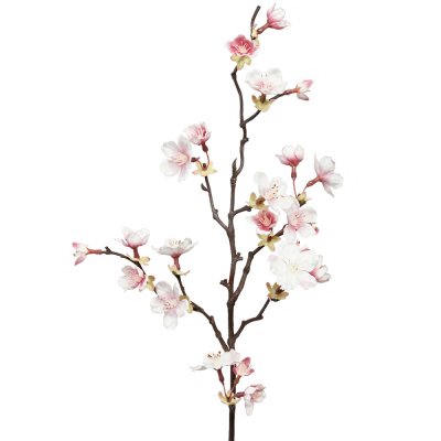 Körbärsblom kvist med rosa blommor - 60 cm