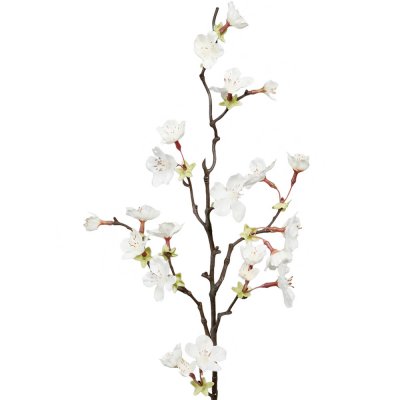 Körbärsblom kvist med vita blommor - 60 cm