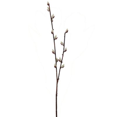 Vide kvist konstväxt - 57 cm hög