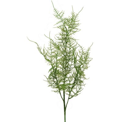 Konstväxt kvist plumosus fjädersparris grön - 70 cm